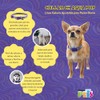 Fancy Pets Correa CH Aqua Pop para Perro – Paseo