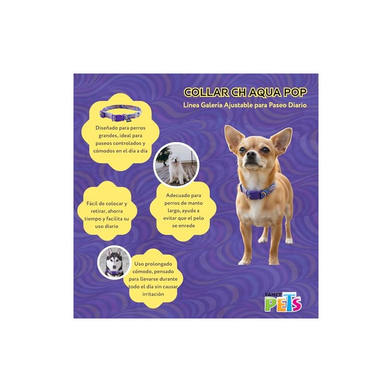 Fancy Pets Correa CH Aqua Pop para Perro – Paseo