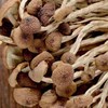 250g/bag Chinese Herbal Agrocybe Cylindracea New Ecology Dried Tea Tree