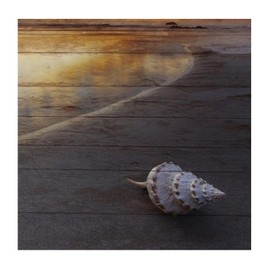 Beach Ocean Theme Starfish Seashell Nursery Home Decor Wall Art Murals Summer Blue Sea Painting Removable Wall Stickers for Sofa Classroom Bathroom Tumblers Vinyl