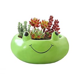 123Arts Ceramic Frog Planter Succulent Planter Hand Painted Flower Pot Animal Planter