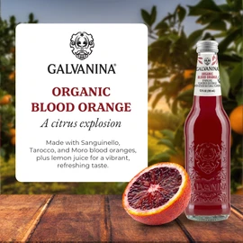 Galvanina - Blood Orange With Pulp - Premium Organic Italian Sparkling Fruit Beverage - 12 fl oz (12 Glass Bottles)