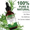 Rosemary Oil for Hair Growth,60ml Natural Organic Rosemary Essentia Oil,