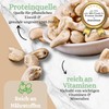 1001 Frucht Cashew Kernels Natural and Unsalted 1 kg Premium