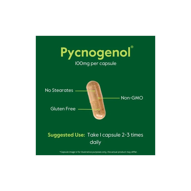 Bestvite Pycnogenol 100 Cápsulas Estearatos