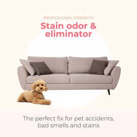 PAWFUME Stain & Odor Eliminator Pet Urine Enzyme Cleaner - Enzymatic Cleaner for Dog Urine Enzyme Cleaner - Cat Pee Enzyme Cleaner & Pet Stain and Odor Remover (4oz, Pack of 4)