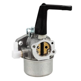 Carkio 696065 Carburetor Kit with Gasket, YL-991 Air Filter, YL-999 Fuel Filter, YL-721 Spark Plug for Briggs Stratton 697422 110412 110402 Engine Router Carburetor