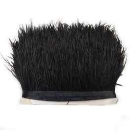 Nicole Knupfer Feather Fringe Ribbon Ostrich Feathers Fabric Strips for Clothing DIY Sewing Craft Costumes DIY Decoration (101#, 2M)