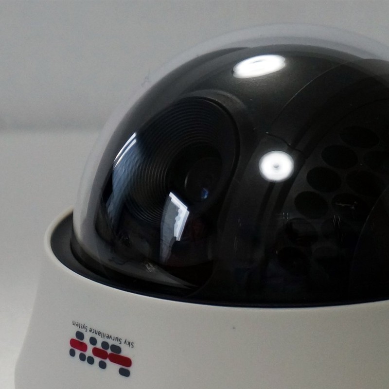 SKY Electronics Security Camera Dummy Camera Dome 1