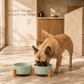 SPUNKYJUNKY Ceramic Dog and Cat Bowl Set with Wooden Stand, Modern Cute Weighted Food Water Set for Small Size Dogs (13.5OZ) & Medium Sized Dogs (28.7OZ) & Cats (3.6 Cups, 2 × Morandi Green)