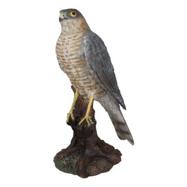 Ebros Gift Realistic Hand Painted Eurasian Sparrowhawk Perching On Tree Stump Figurine 8.5" Tall Small Bird of Prey Taxidermy Sparrow Hawk Home Accent Sculpture