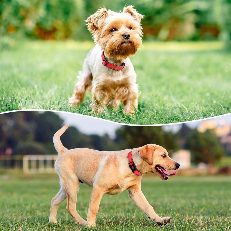 Reflective Nylon Dog Collar with Safety Buckle, Adjustable Pet Collars