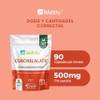 Wellthy Cuachalalate Extracto en CPSULAS. Extracto de Cuachalalate 500mg cu,