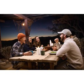 Camelbak Tumbler, Sst Vacuum Insulated, 16Oz, Larkspur