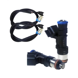 Amblee 2-Pack Fuel Injector with Harness Compatible with Polaris Ranger Crew/XP/6x6 800 2011-2017, RZR 4/S 800 2011-2014 Replacement for 0280158197 1204318 1204319 GX1111IJ117XG