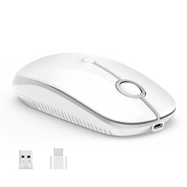 VssoPlor Type C Wireless Mouse, Dual Mode 2.4G Wireless Mouse USB C Cordless Mice with Nano USB and Type C Receiver Compatible with PC, Laptop, MacBook and All Type C Devices-White Silver