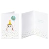 Papyrus Boxed Birthday Card Assortment, Bright Birthday (4-Count)