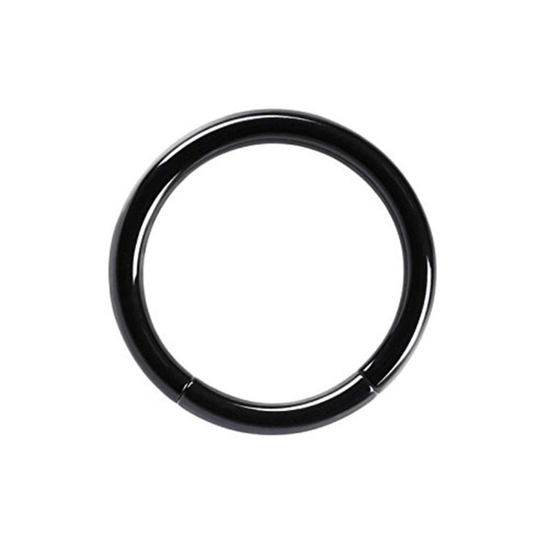 BodyJewelryOnline 16ga-5/16(8mm) 316L Surgical Steel Seamless Segment Ring - Perfect for Lip, Nose, Septum, Ear, Eyebrow & Cartilage Piercings - I.P. Coated, 5 Colors Available - Sold Each (Black)