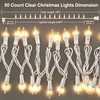 TIGOMOOV 50 Count Mini Clear White Christmas Lights-120V Plug-in End