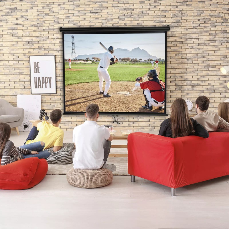 SEGAWE 72" Diagonal Dimension Pull Down Projection Movie Theater Screen