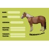 Blechschild 20x30cm Pferd Namensschild Impfausweis behandelter Arzt Steckbrief Fuchswallach