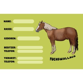 Blechschild 20x30cm Pferd Namensschild Impfausweis behandelter Arzt Steckbrief Fuchswallach