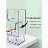 Automatic Parrot Feeder Prevent Spillage and Splashing Easy Installation Acrylic
