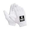DSC Motion Cricket Inner Gloves Mens