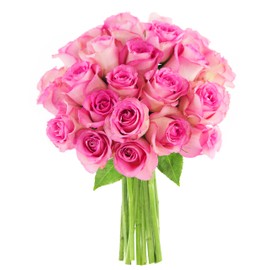 KaBloom PRIME NEXT DAY DELIVERY - Fall Collection - Bouquet of 25 Pink Roses Direct Fresh.Gift for Birthday, Sympathy, Anniversary, Get Well, Thank You, Valentine, Mother’s Day Fresh Flowers