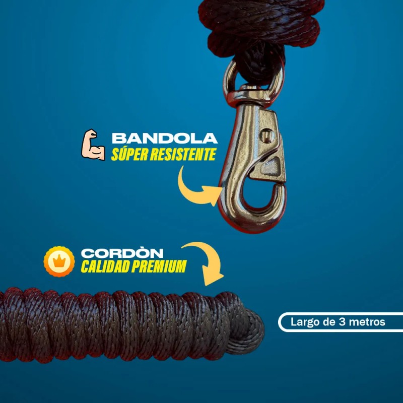 Almartigon Para Caballo Ajustable Con Paseador Guia Premium