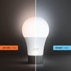 Feit Electric A19 LED Light Bulbs, 60W Equivalent, Dimmable, E26