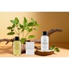 Shampoo 40 ml Armonie, Amenidades Hoteleras, 84 unidades