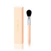 THE TOOL LAB 157 Light Touch Blusher Brush - THE