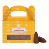 ETHNICITI Satya Genuine Nag Champa Backflow Incense Cones - 24