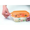 Sanko Plastic Food Storage Containers, Every, Long, No.2, 16.5 fl