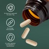 Primal Multivitamin Daily Supplement, Gluten Free, Vegetarian