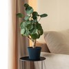 KADAX Small Plastic Flower Pot, Succulent and Herb Planter, Modern