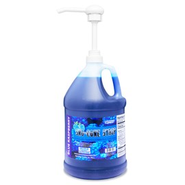 Concession Express Pure Cane Sugar Sno-Cone Syrup w/pump (Blue Raspberry)