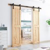 SMARTSTANDARD 6.6FT Heavy Duty Double Door Sliding Barn Door Hardware