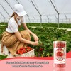 Premium Freeze-Dried Strawberry Pieces 10 Oz - Dehydrated strawberries