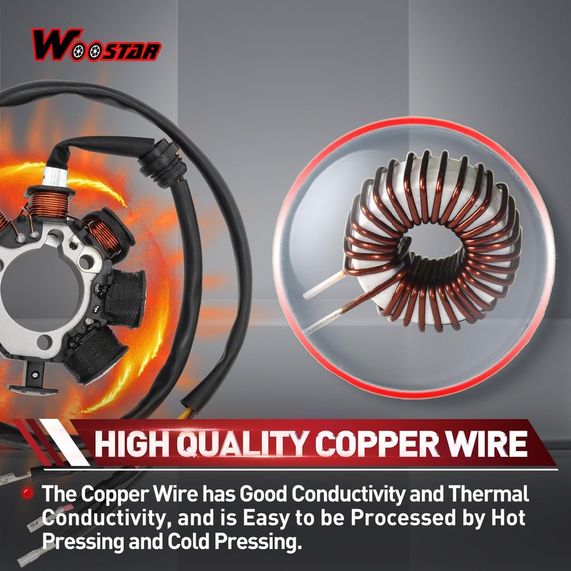 WOOSTAR 8 Coil 3 Wire Magneto Stator Replacement for 1990-1993