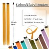 2 x Clip-In Hair Extension Highlights Streaks, Colourful Hair Highlights