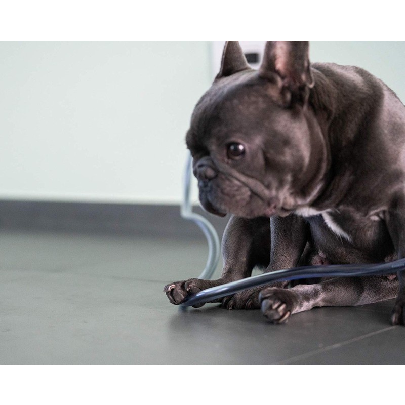 PetCords Dog And Cat Cord Protector- Protects Your Pets From