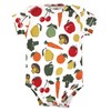 Touched by Nature Unisex Baby Organic Cotton Bodysuits, Happy Veggies,