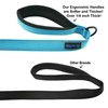 Wagtime Club Soft and Thick Double Handle Premium Nylon 4FT