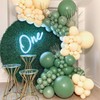 PartyWoo Sage Green Balloons 50 pcs 12 Inch Matte Dusty