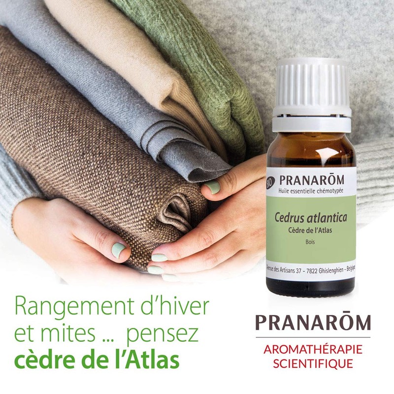 Pranarom Atlas Cedar (BIO), 0.3 fl oz (10 ml), Essential