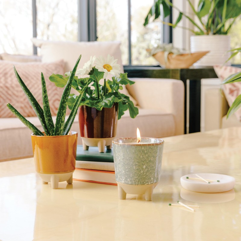 Modern Sprout Glow and Grow Herb Garden Candle + Basil