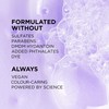 L’Oréal Paris Moisture Sulfate Free Shampoo, Hair Care for Color-Treated