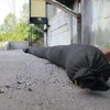 PIG Sediment Filter Sock - for Erosion Control and Storm